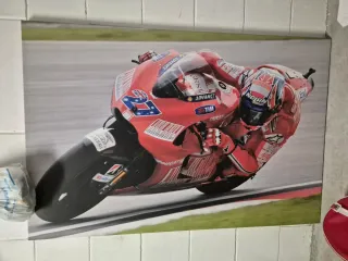 Quadro Ducati Casey Stoner 27