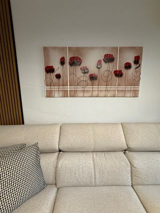 Cuadro moderno Lienzo Decorativo Flores Rojas