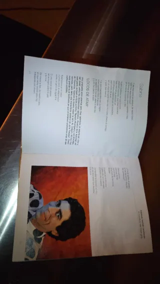 Sabina El hombre del traje gris