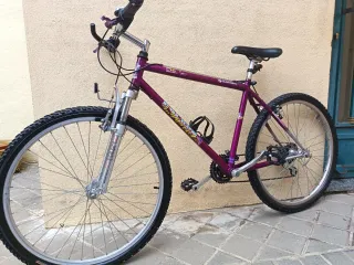 Bicicleta Coluer 26 Morada
