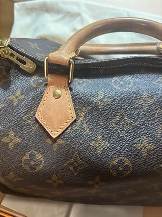 Borsa Louis Vuitton Speedy 30