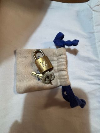 Borsa Louis Vuitton Speedy 30