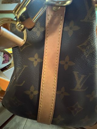 Borsa Louis Vuitton Speedy 30