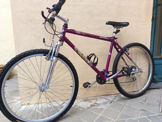 Bicicleta Coluer 26 Morada