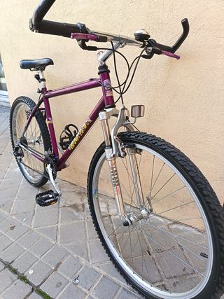 Bicicleta Coluer 26 Morada