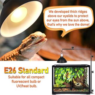 Lámpara terrario reptiles E26