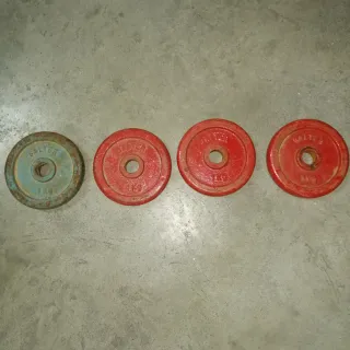 4 Discos de Pesas Salter 1kg