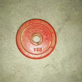 4 Discos de Pesas Salter 1kg