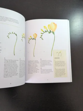 Acuarela botánica: Dibuja y pinta flores