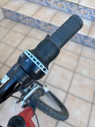 Bicicleta de montaña infantil