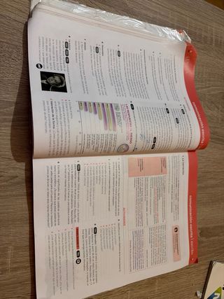 Lengua castellana y Literatura 1 ESO LOMLOE