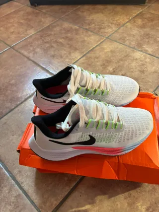Nike Pegasus 37