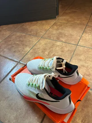 Nike Pegasus 37