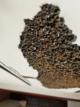 Cuadro Árbol de la Vida Piedra y Madera