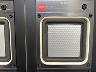 ESPECTACULARES SONY APM-700