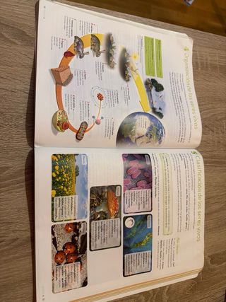 Biología y Geología 1.º ESO
