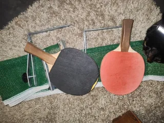 Red y raquetas de Pin Pon