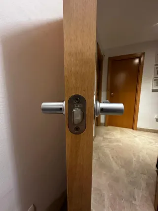 Puerta madera.7 lisas + 2 cristal. Precio unidad