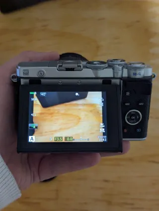 Olympus Pen E-P7 + Panasonic 14-45mm