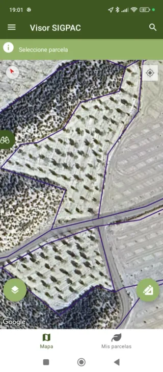 Finca rustica en Castillejar