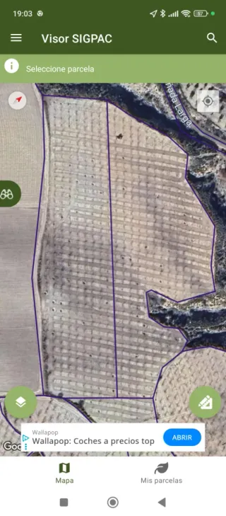 Finca rustica en Castillejar