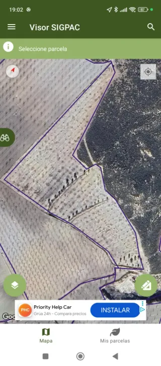 Finca rustica en Castillejar