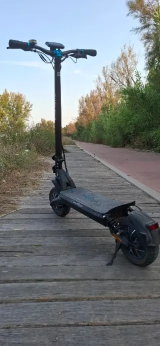 Patinete Eléctrico Smartgyro Dual Max LR