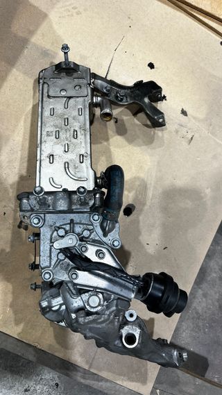 Intercambiador EGR C220