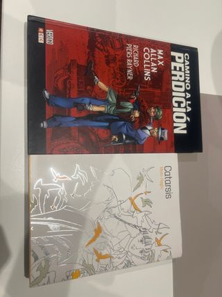 Camino a la perdición