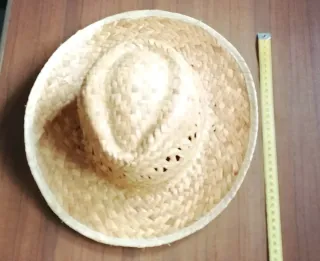 2 Sombreros de paja