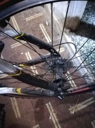 Bicicleta MONTY KT 40 - 300€