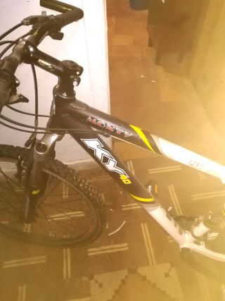 Bicicleta MONTY KT 40 - 300€