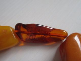 Collana in Ambra naturale. Lunghezza 63 cm circa.