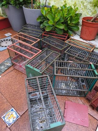 Jaulas C1 Marrones y Verdes