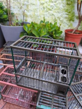 Jaulas C1 Marrones y Verdes