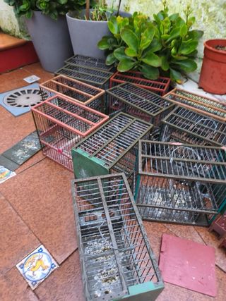 Jaulas C1 Marrones y Verdes