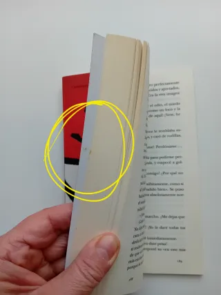 Naomi,Junichirō Tanizaki