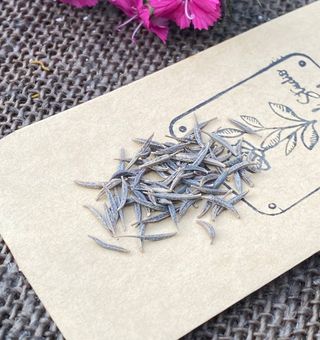 Cosmos sulphureus Klondike - mix