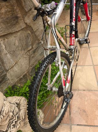 Bicicleta Montaña Agece Córdoba
