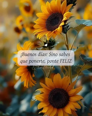 CANGURO para peques o bebes.