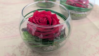 Pecera con rosa eterna liofilizada