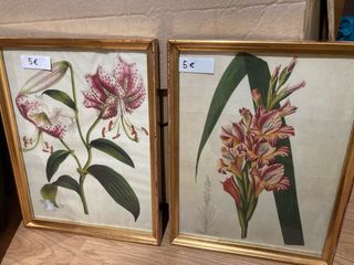 2 Cuadros Flores Vintage Marco Dorado