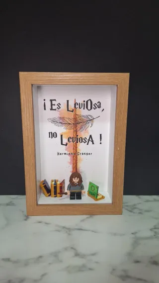 Cuadro lego de Harry Potter con Hermione Granger