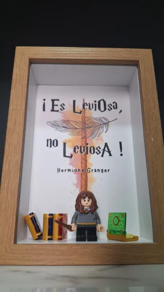 Cuadro lego de Harry Potter con Hermione Granger