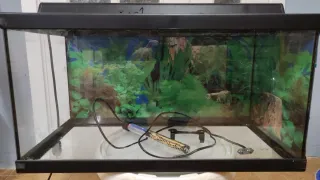 Acuario 60L con calentador y 15 kilos de grava