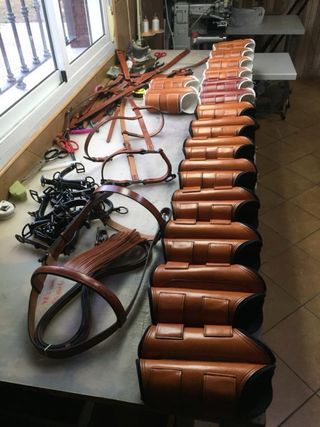 Protectores de caballo de cuero