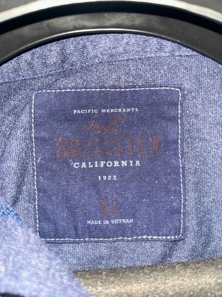 Sudadera Hollister Degradado Azul/Gris