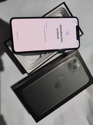 iPhone 11 Pro Max 256GB verde noche Especial