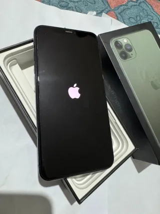 iPhone 11 Pro Max 256GB verde noche Especial