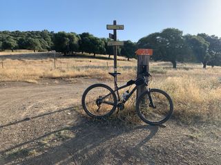 Bicicleta de Montaña